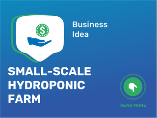 Small-Scale Hydroponic Farm