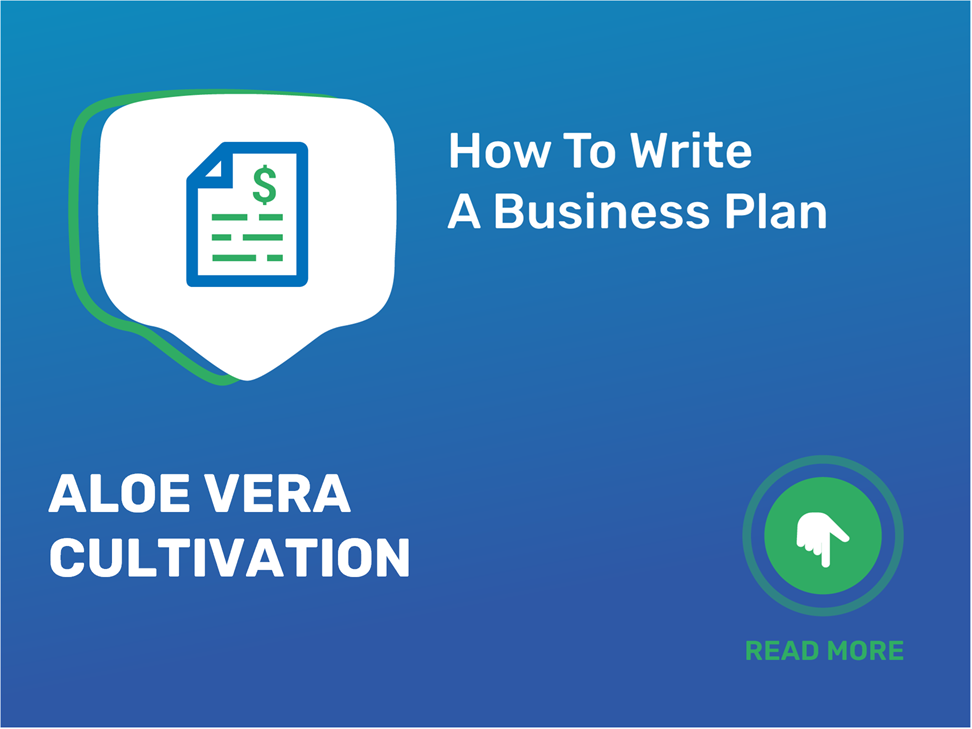 business plan of aloe vera
