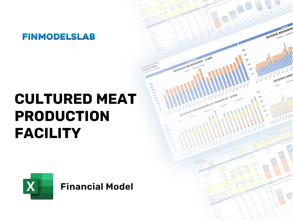 Excel financial model