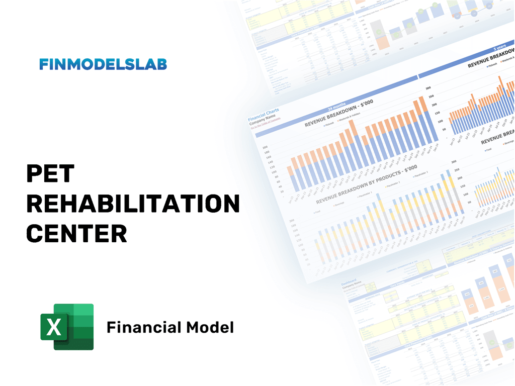 Excel financial model