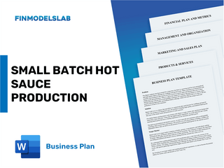 Excel financial model