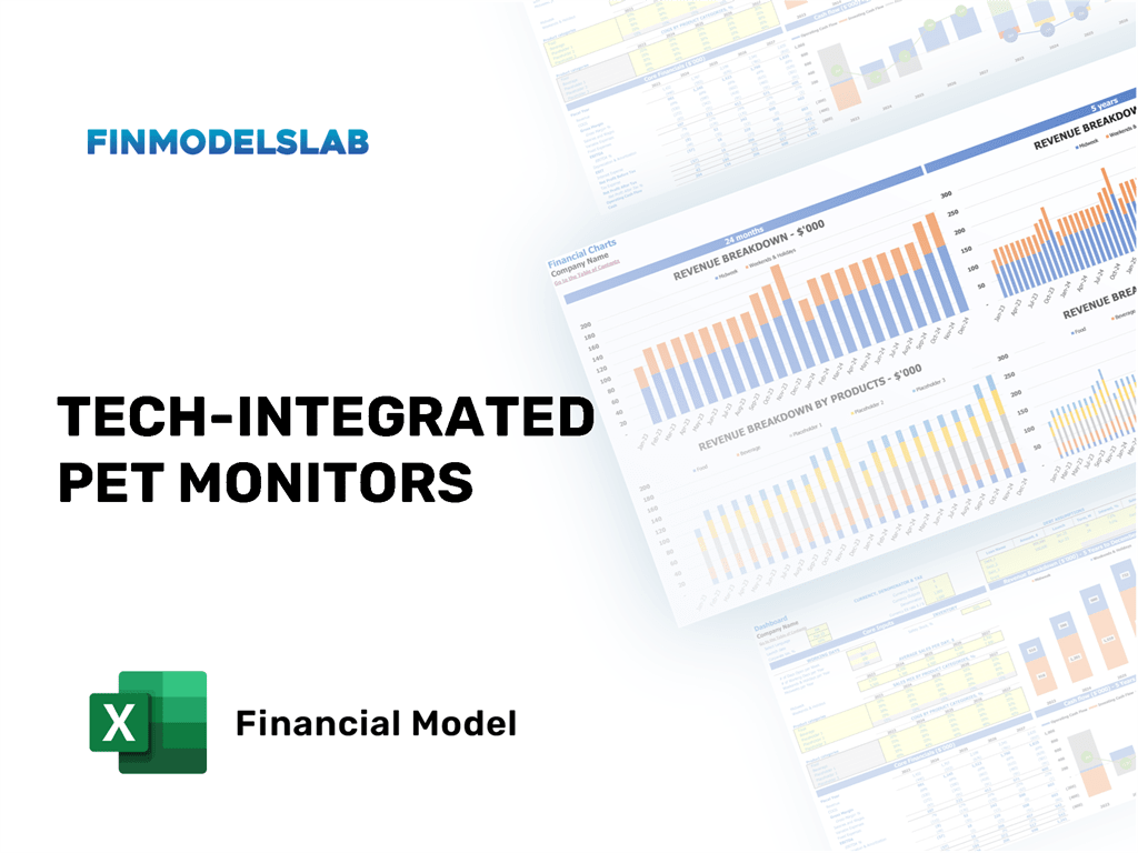 Excel financial model