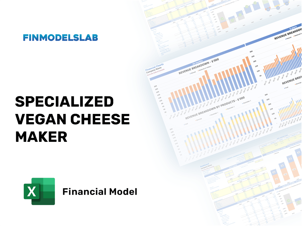 Excel financial model