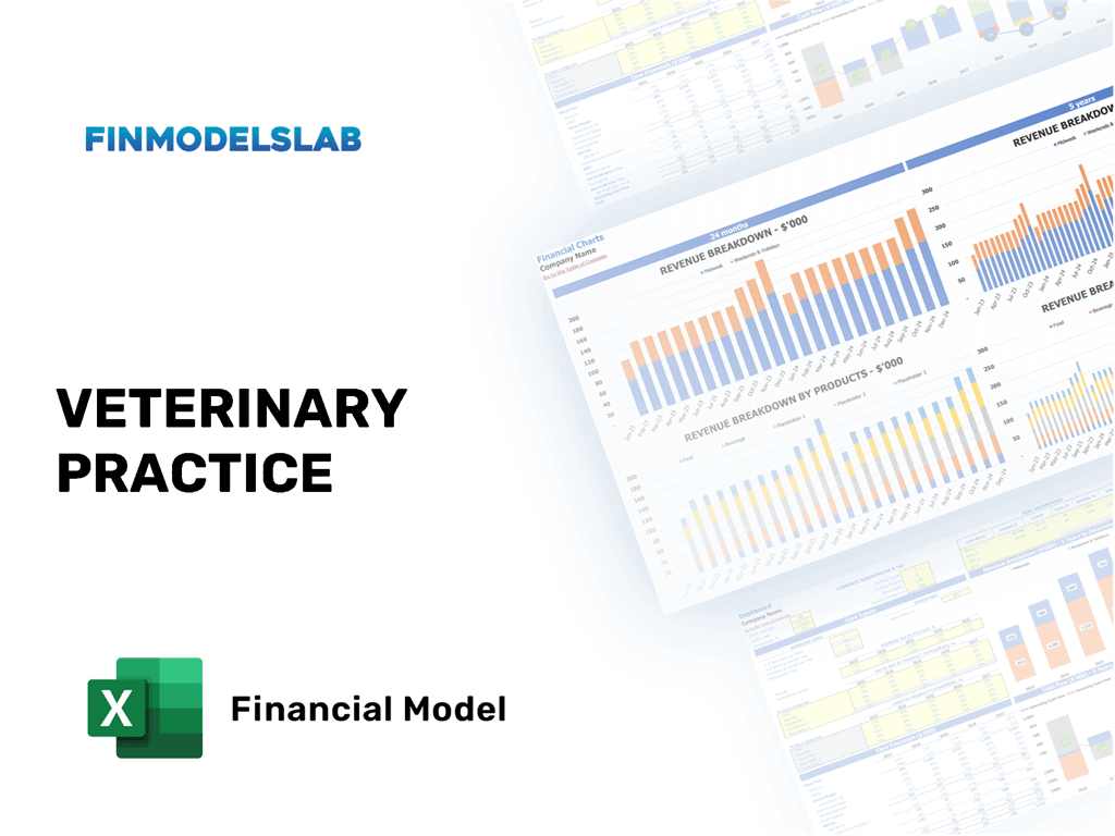 Excel financial model