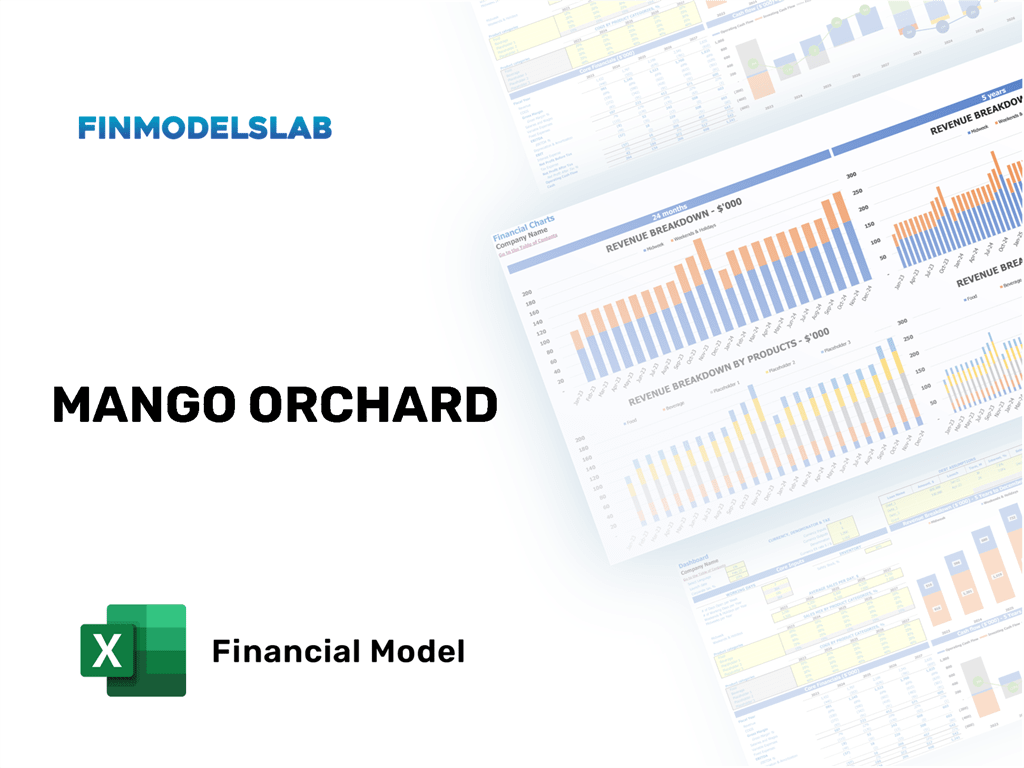 Excel financial model