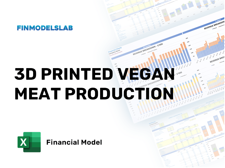 Excel financial model