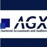 شركة AGX لحلول الأعمال المحدودة