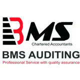 BMS للتدقيق والمحاسبة LLP.