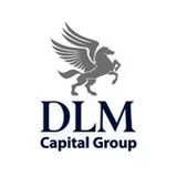 DLM Capital Group