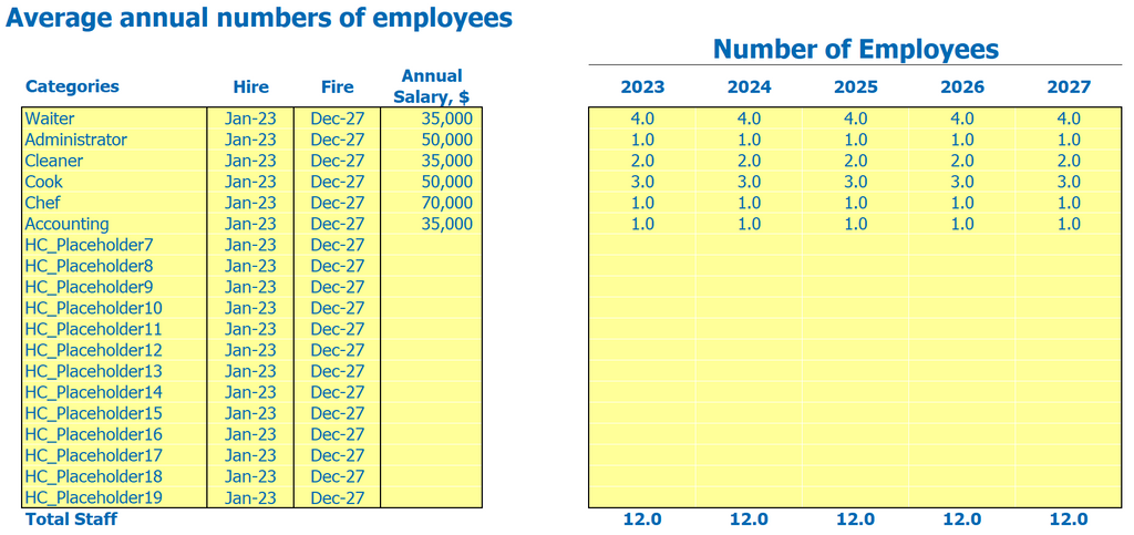 Japanese Restaurant Financial Model: Employee Salaries and Wages Inputs