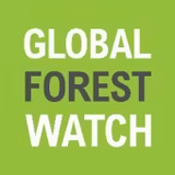 Reloj bosque global