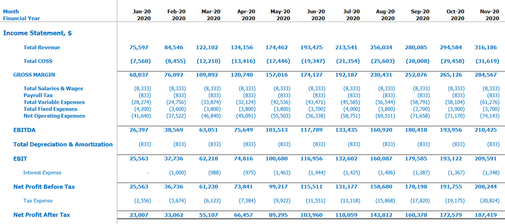 Estado de resultados de SaaS freemium