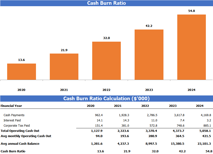 SaaS Model Cash Burn Analysis