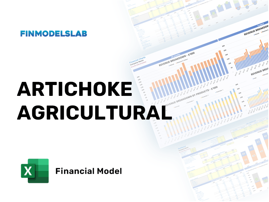 Excel financial model