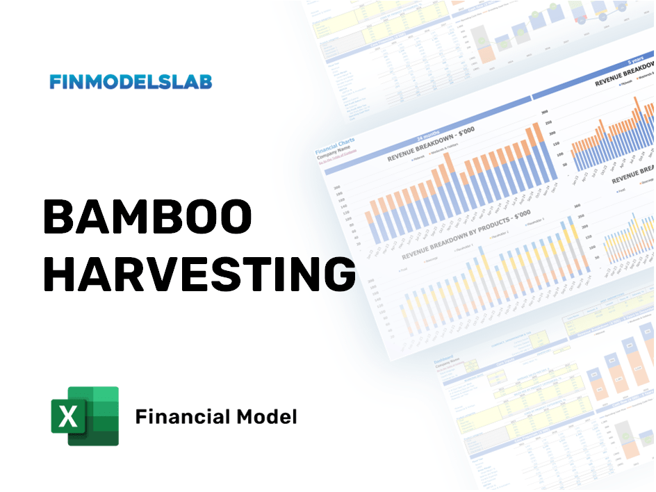 Excel financial model