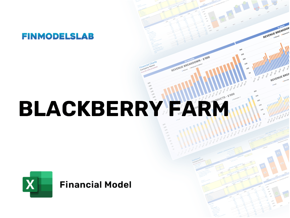 Excel financial model