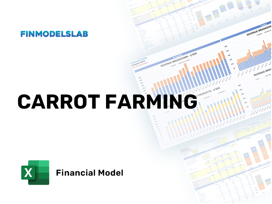 Excel financial model