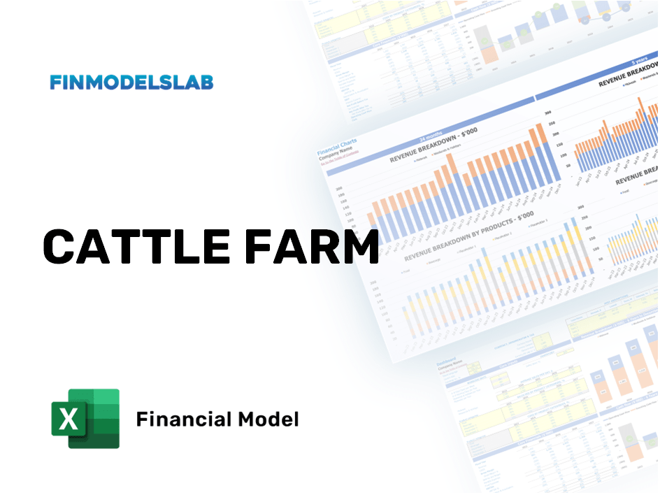 Excel financial model