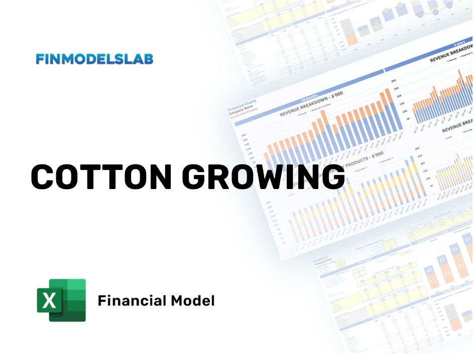 Excel financial model