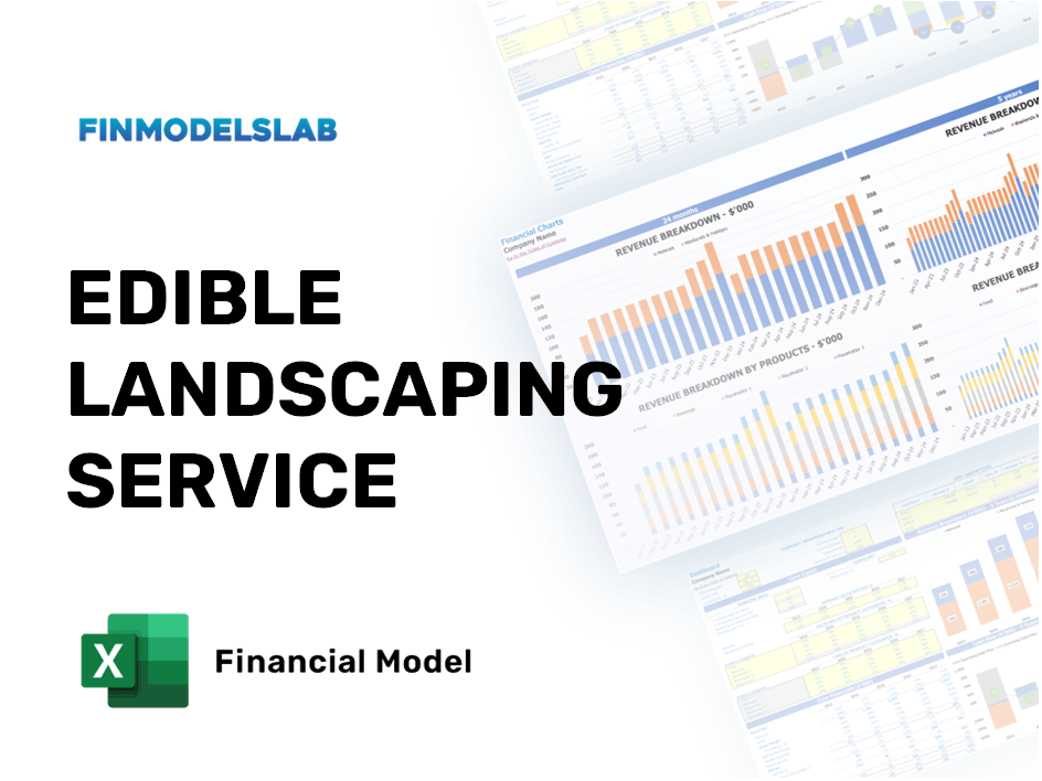 Excel financial model