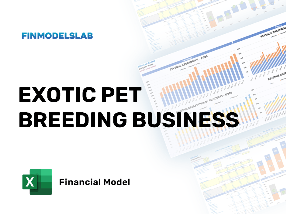 Excel financial model