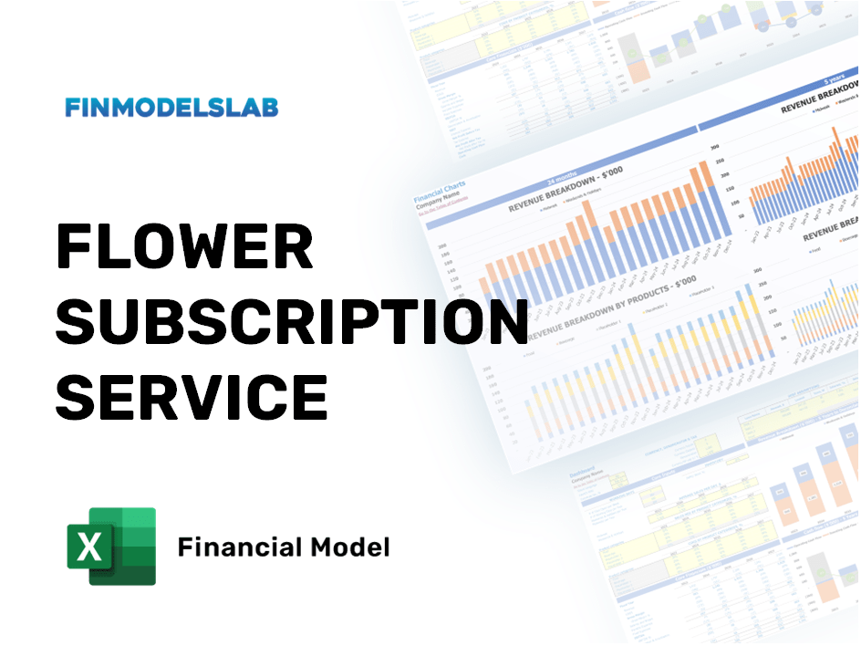 Excel financial model