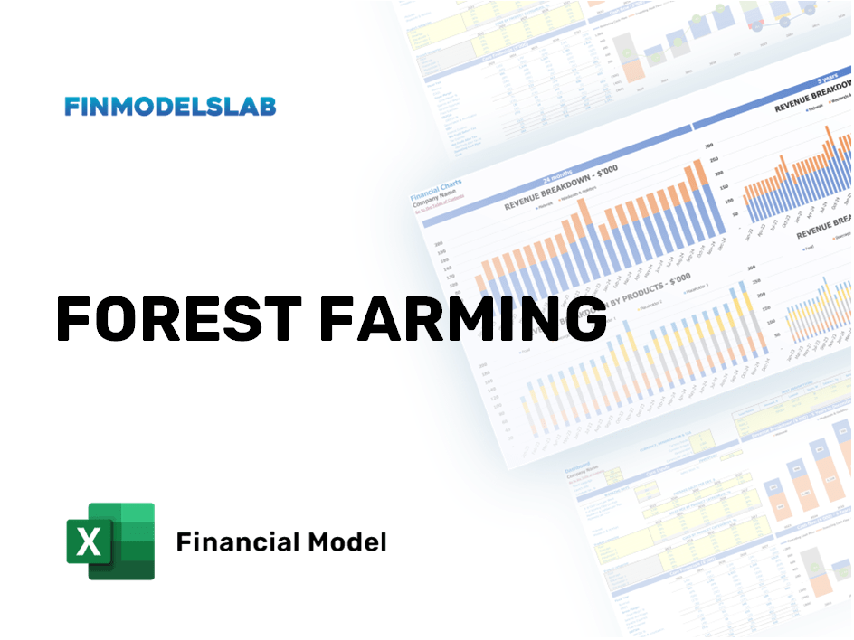 Excel financial model