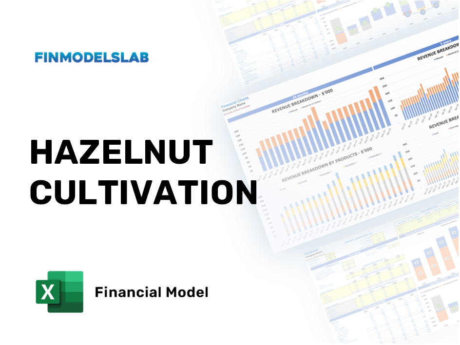 Excel financial model