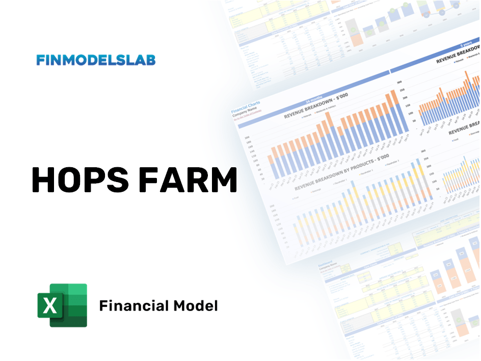 Excel financial model