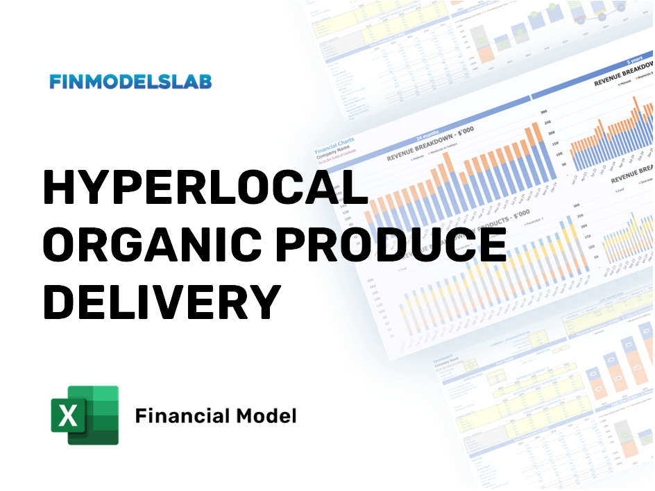 Excel financial model