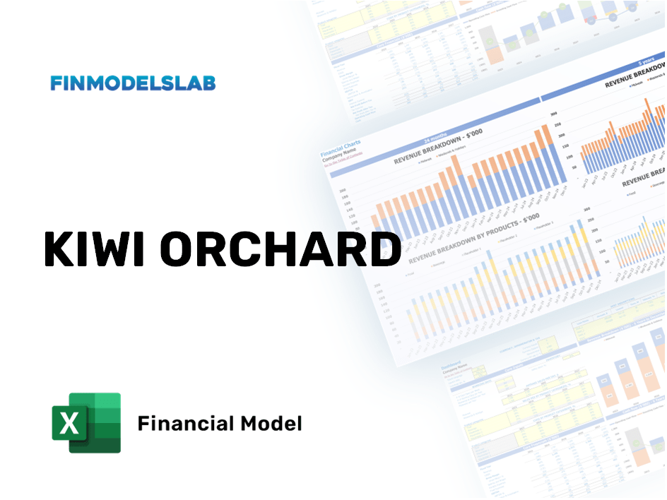 Excel financial model