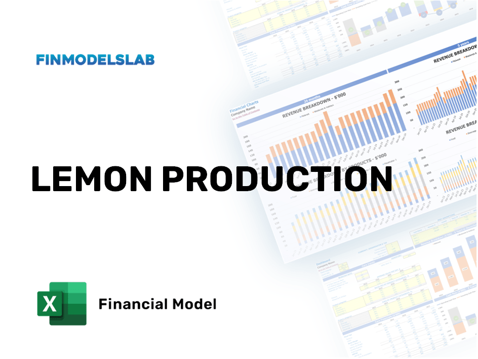 Excel financial model