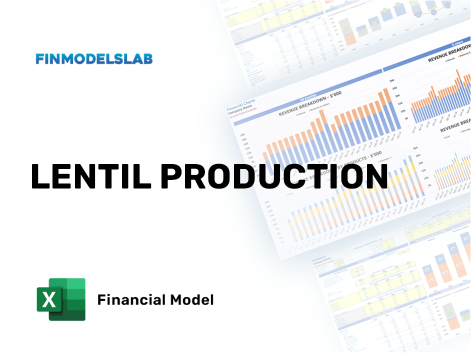 Excel financial model