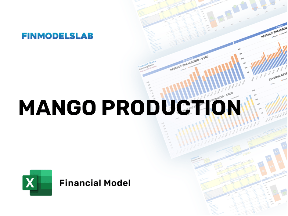 Excel financial model