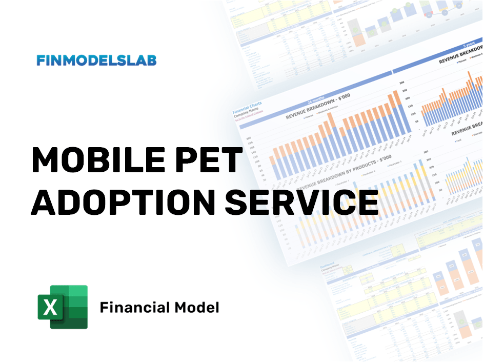 Excel financial model