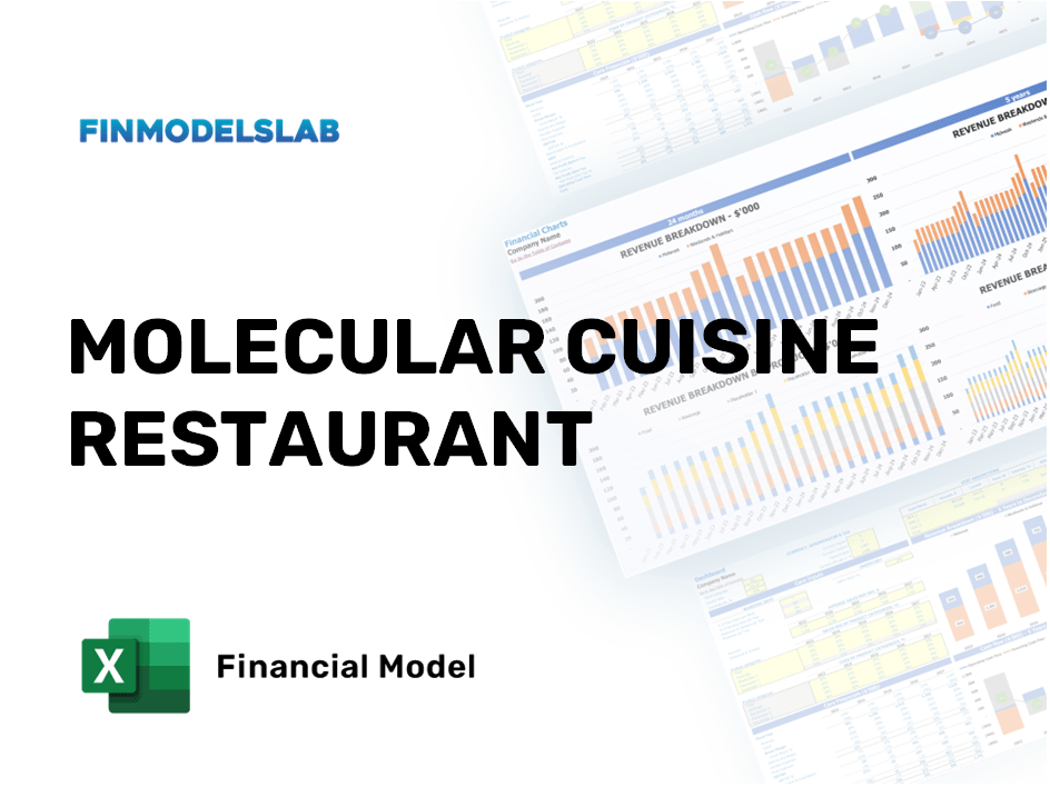 Excel financial model