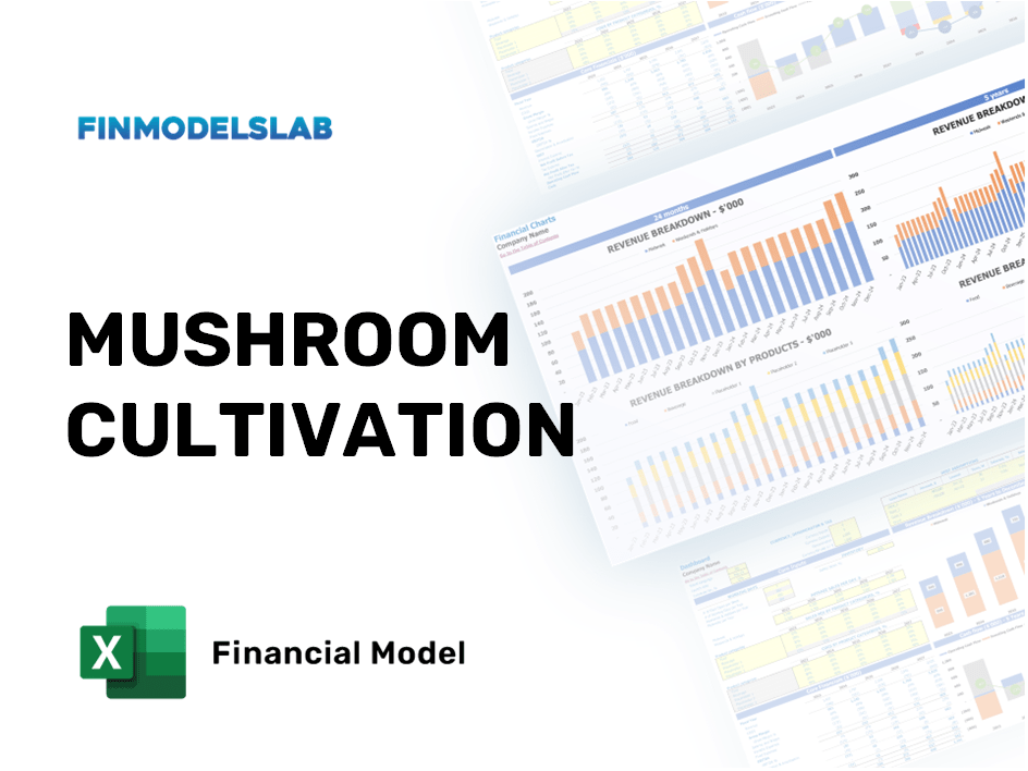 Excel financial model