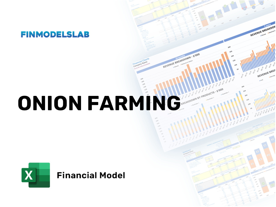 Excel financial model