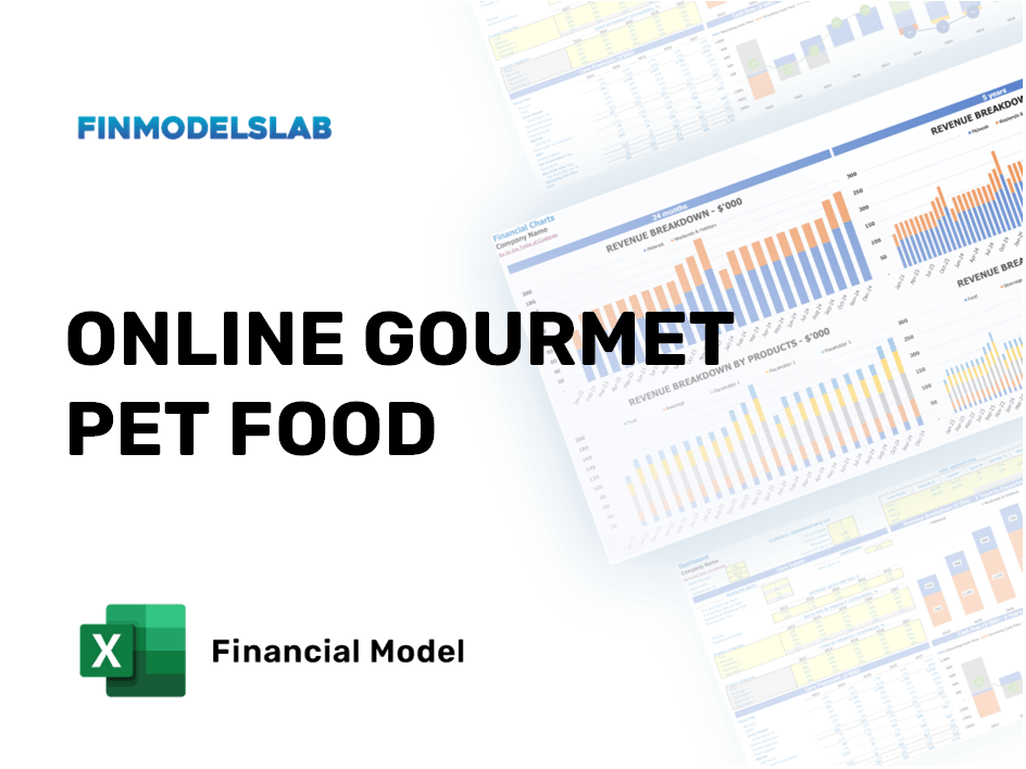 Excel financial model