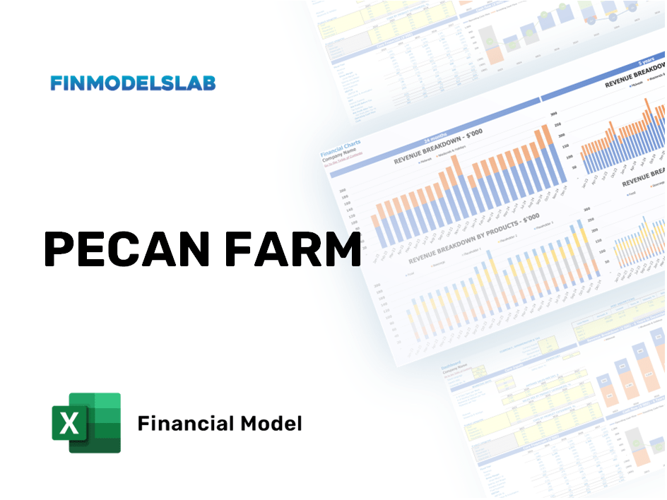 Excel financial model