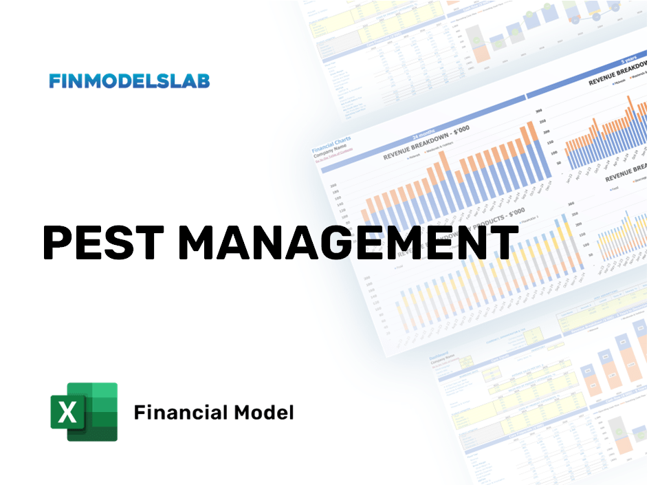 Excel financial model