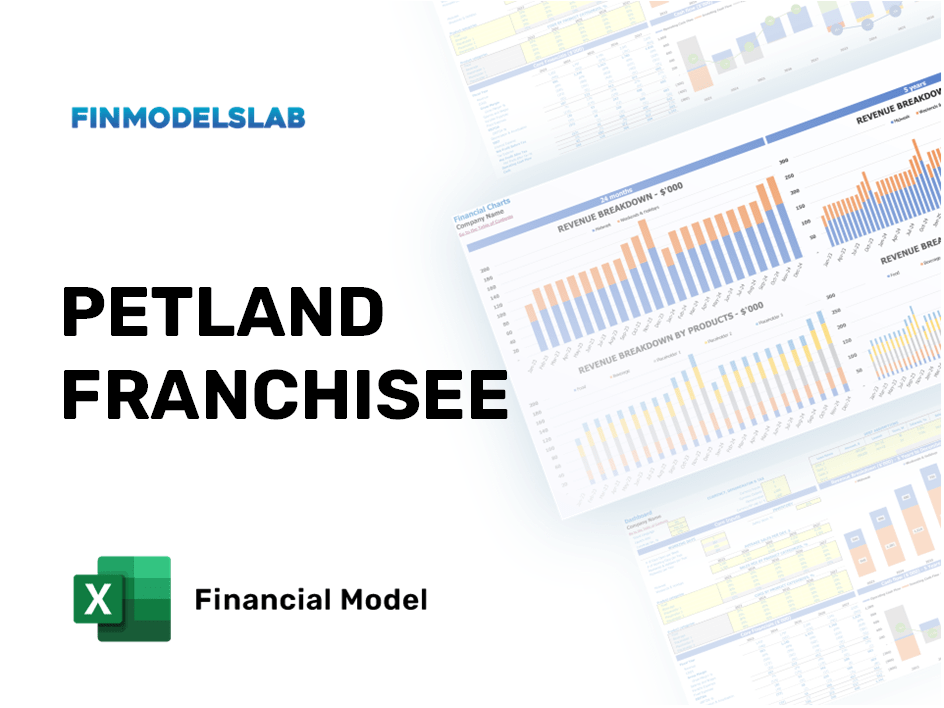 Excel financial model