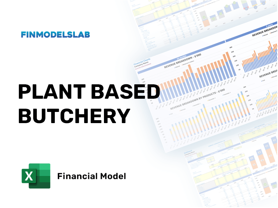 Excel financial model