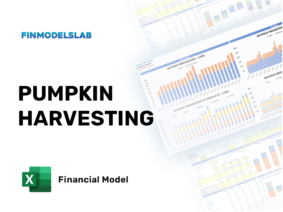 Excel financial model