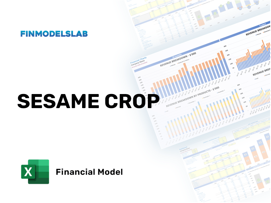 Excel financial model