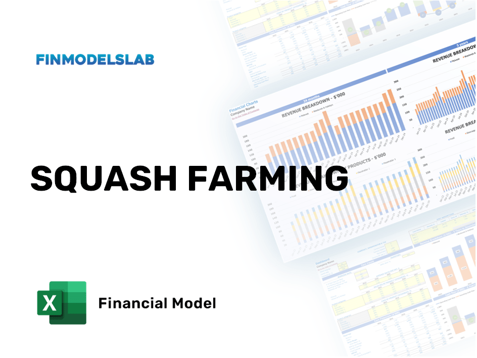 Excel financial model