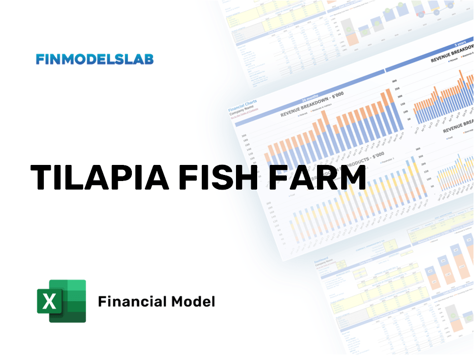 Excel financial model