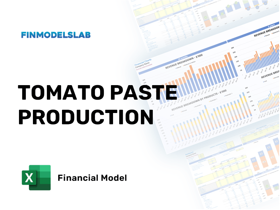 Excel financial model