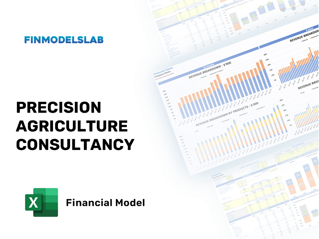 Excel financial model