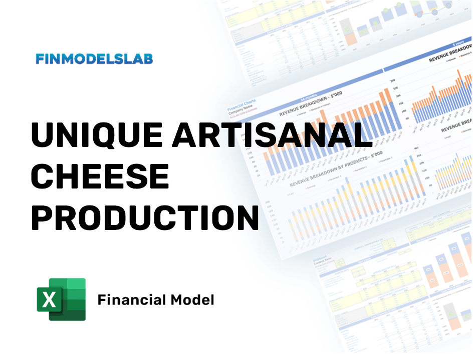 Excel financial model